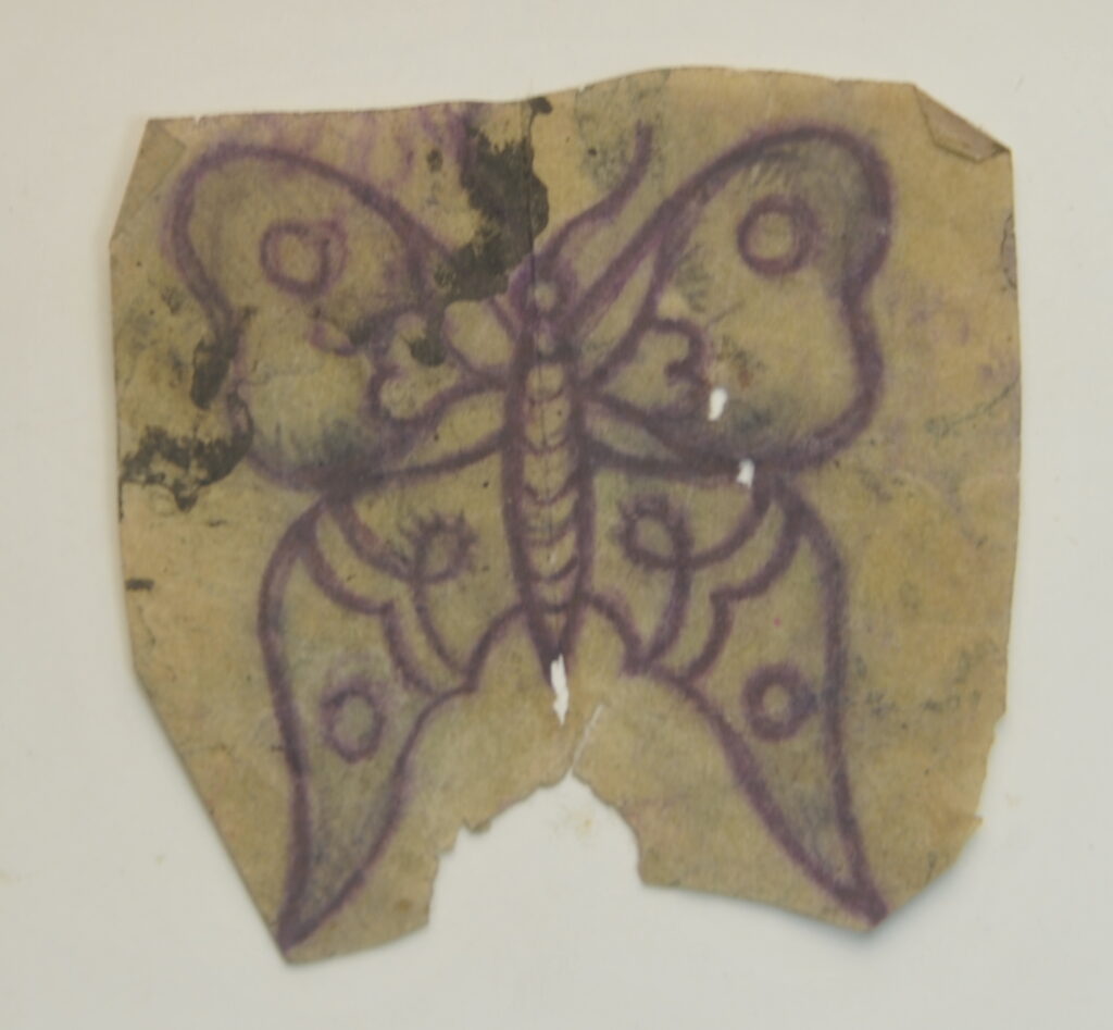 Butterfly-10