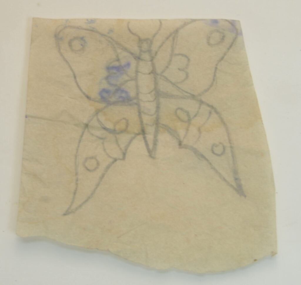 Butterfly-24