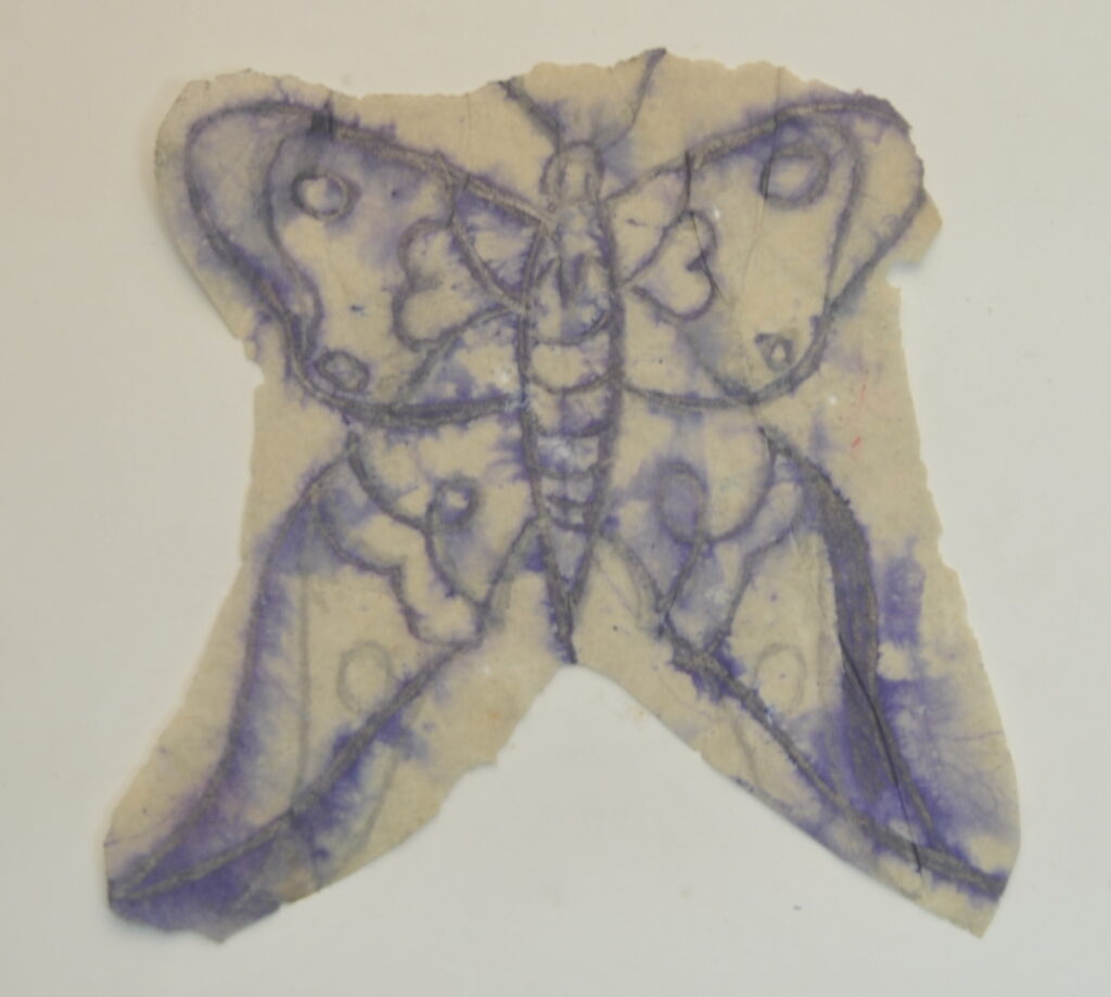 Butterfly-27
