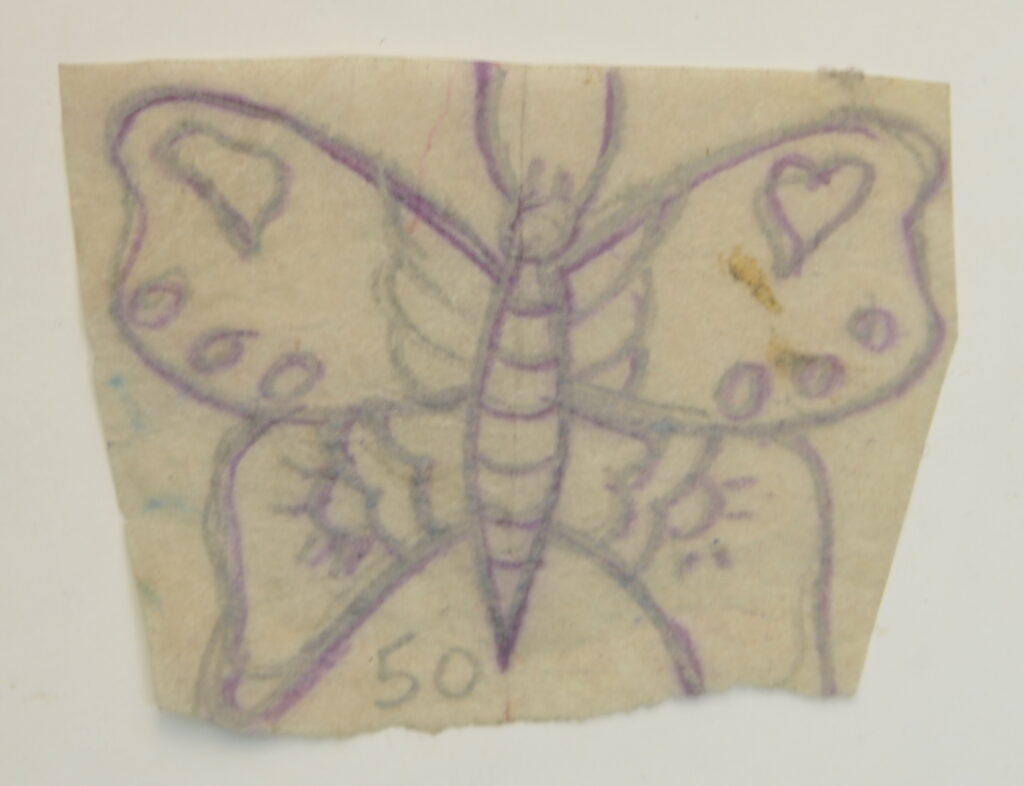 Butterfly-5