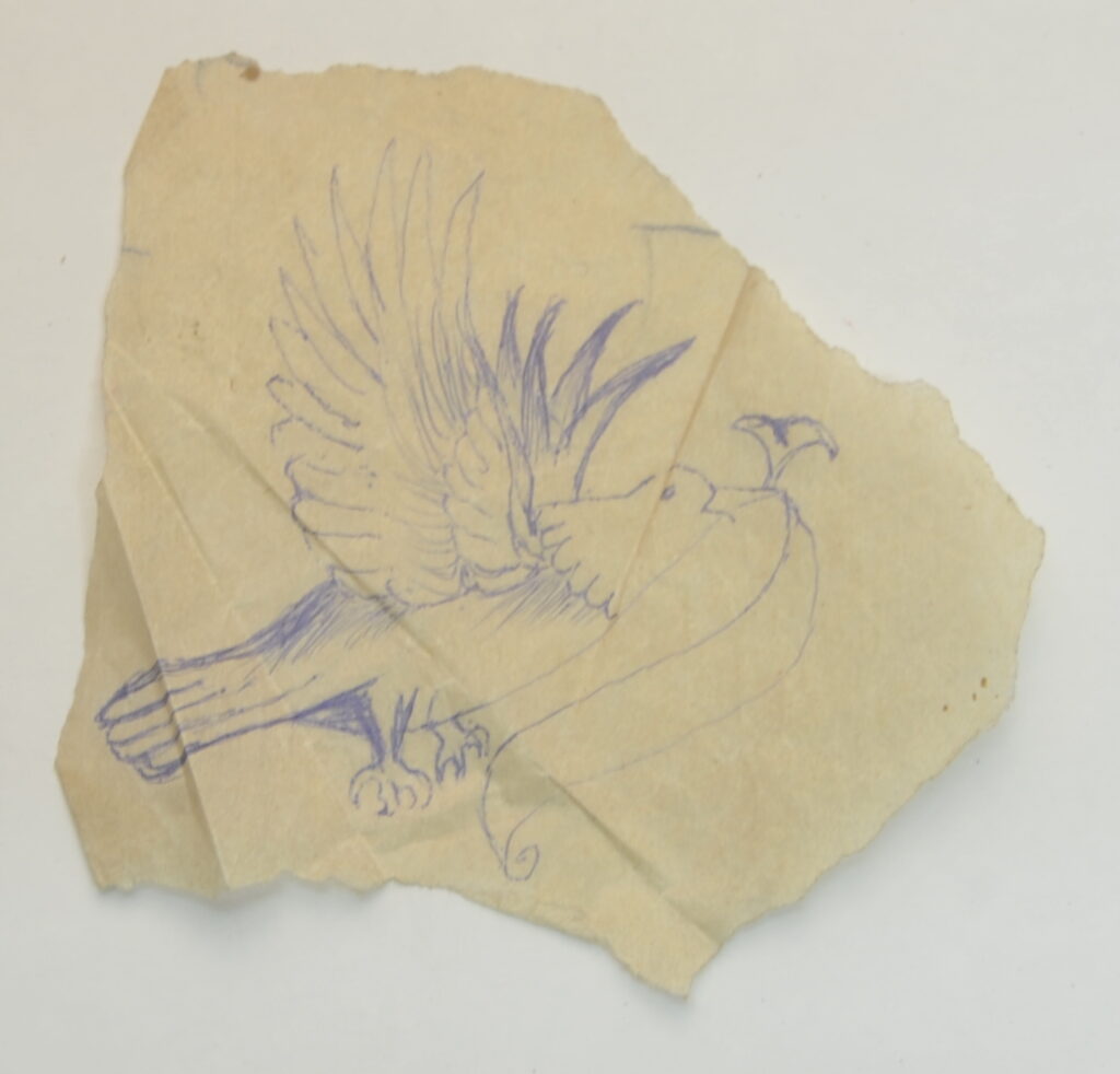 Birds-104