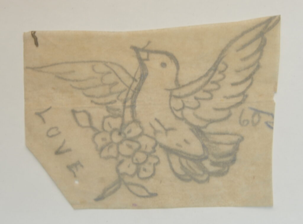 Birds-2