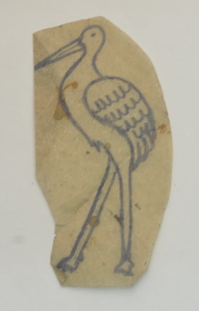Birds-48