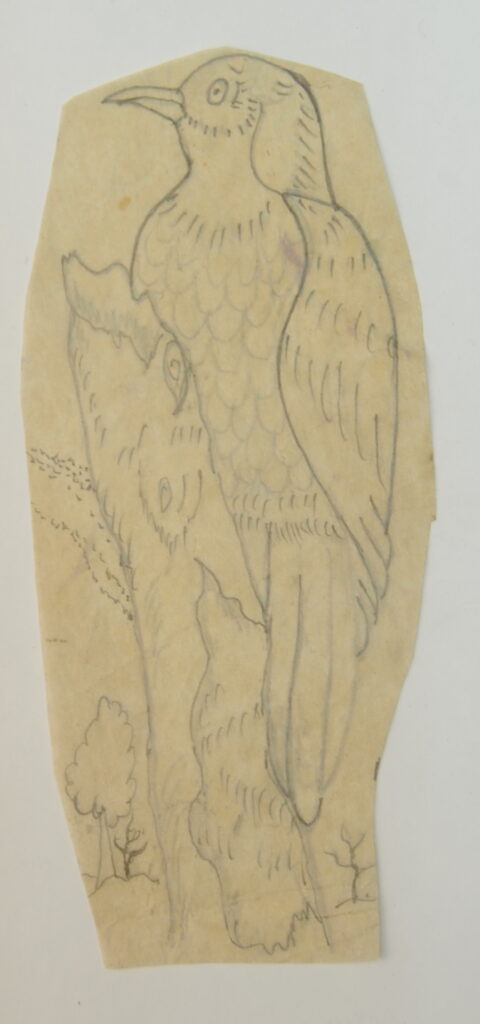 Birds-58