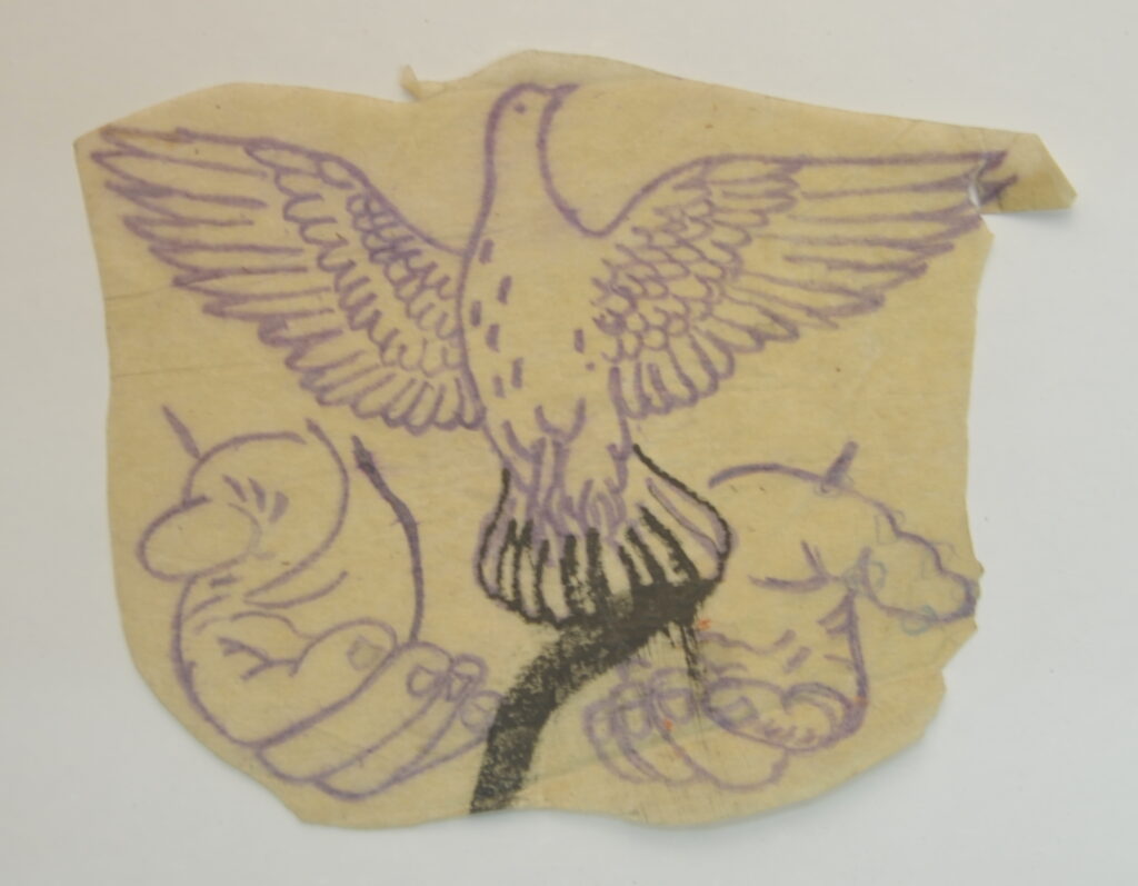 Birds-59