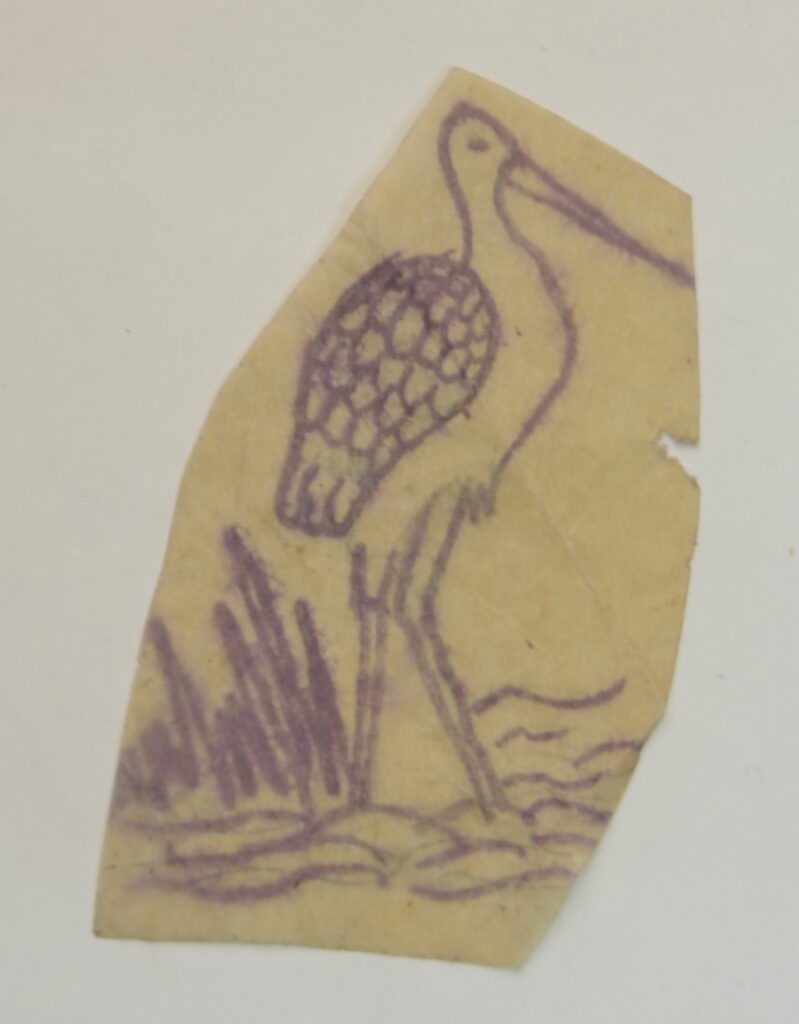 Birds-61