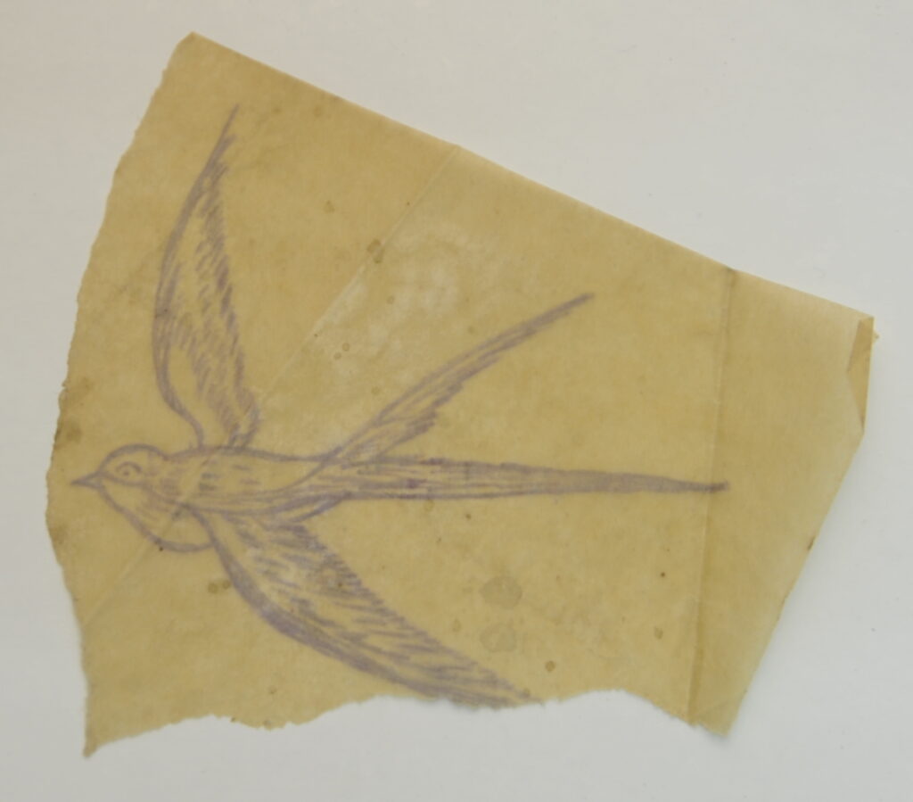 Birds-67