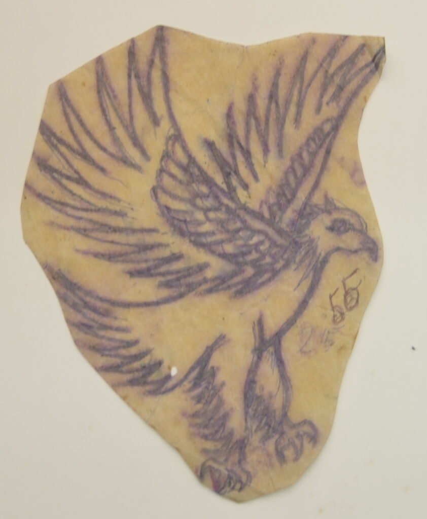 Eagle-7