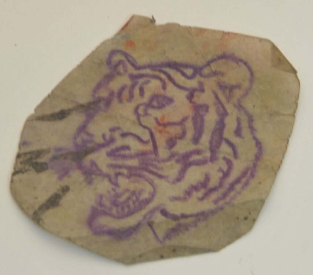 Wild Cats-77